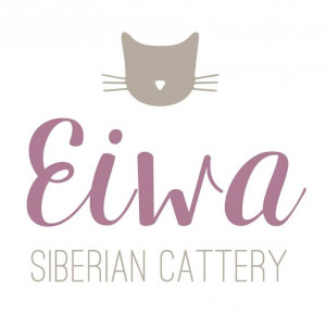 Eiwa Siberian Cattery